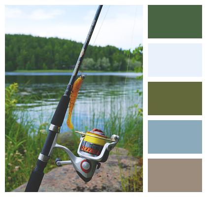 Fishing Fishing Gear Fishing Rod Image